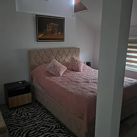 Zatvoreno Renoviranje