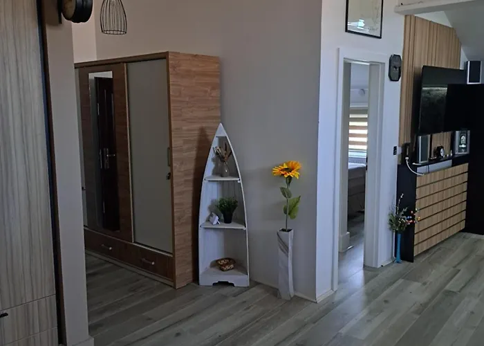 Zatvoreno Renoviranje * Velika Plana